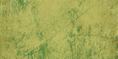 Pauley 20X10 Ultracloth ( 240 X 120 Inch ) Backdrop