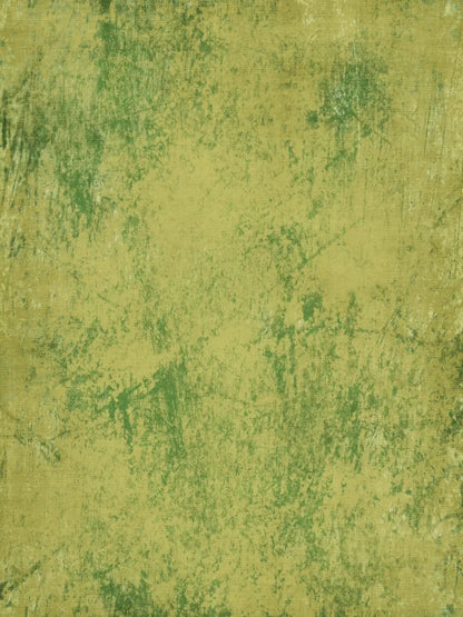 Pauley 5X7 Ultracloth ( 60 X 84 Inch ) Backdrop