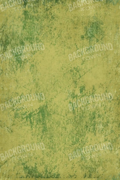 Pauley 5X8 Ultracloth ( 60 X 96 Inch ) Backdrop