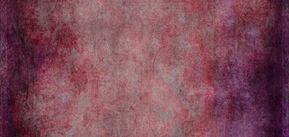 Paulina 16X8 Ultracloth ( 192 X 96 Inch ) Backdrop