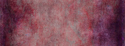 Paulina 20X8 Ultracloth ( 240 X 96 Inch ) Backdrop