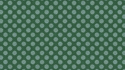 Paulson 14X8 Ultracloth ( 168 X 96 Inch ) Backdrop