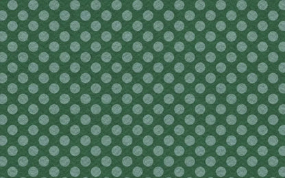 Paulson 14X9 Ultracloth ( 168 X 108 Inch ) Backdrop