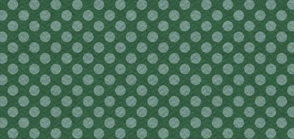 Paulson 16X8 Ultracloth ( 192 X 96 Inch ) Backdrop
