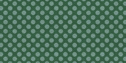 Paulson 20X10 Ultracloth ( 240 X 120 Inch ) Backdrop
