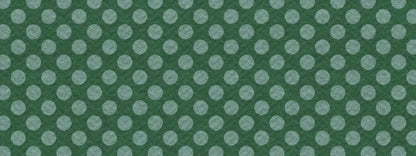 Paulson 20X8 Ultracloth ( 240 X 96 Inch ) Backdrop