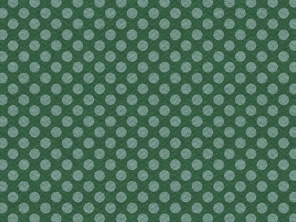 Paulson 68X5 Fleece ( 80 X 60 Inch ) Backdrop