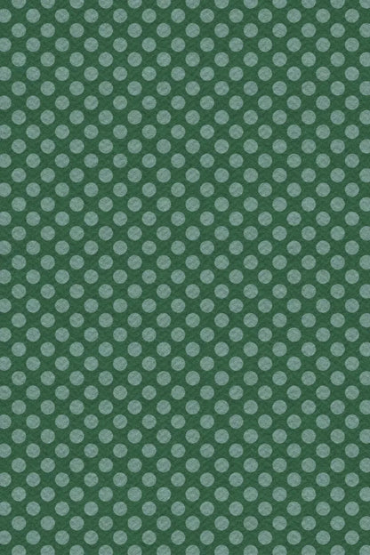 Paulson Backdrop