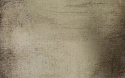 Paxton 14X9 Ultracloth ( 168 X 108 Inch ) Backdrop