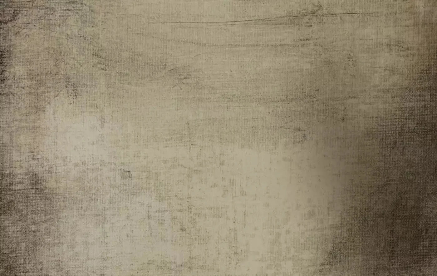 Paxton 16X10 Ultracloth ( 192 X 120 Inch ) Backdrop