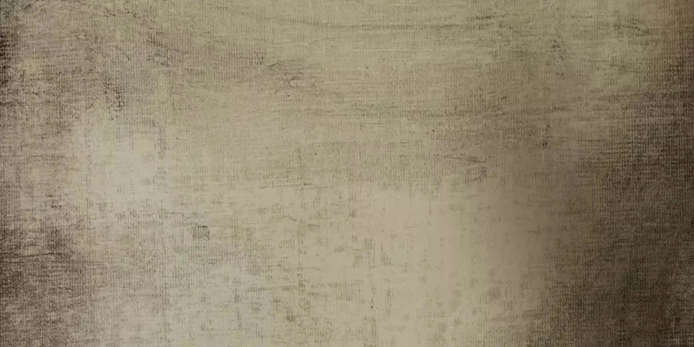 Paxton 20X10 Ultracloth ( 240 X 120 Inch ) Backdrop