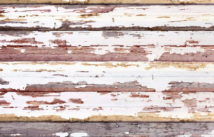 Payden 12X8 Ultracloth ( 144 X 96 Inch ) Backdrop