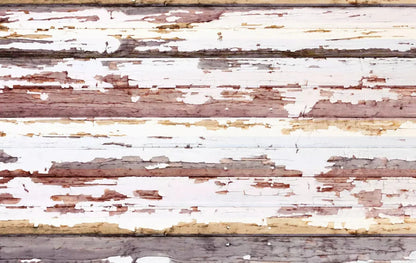 Payden 16X10 Ultracloth ( 192 X 120 Inch ) Backdrop