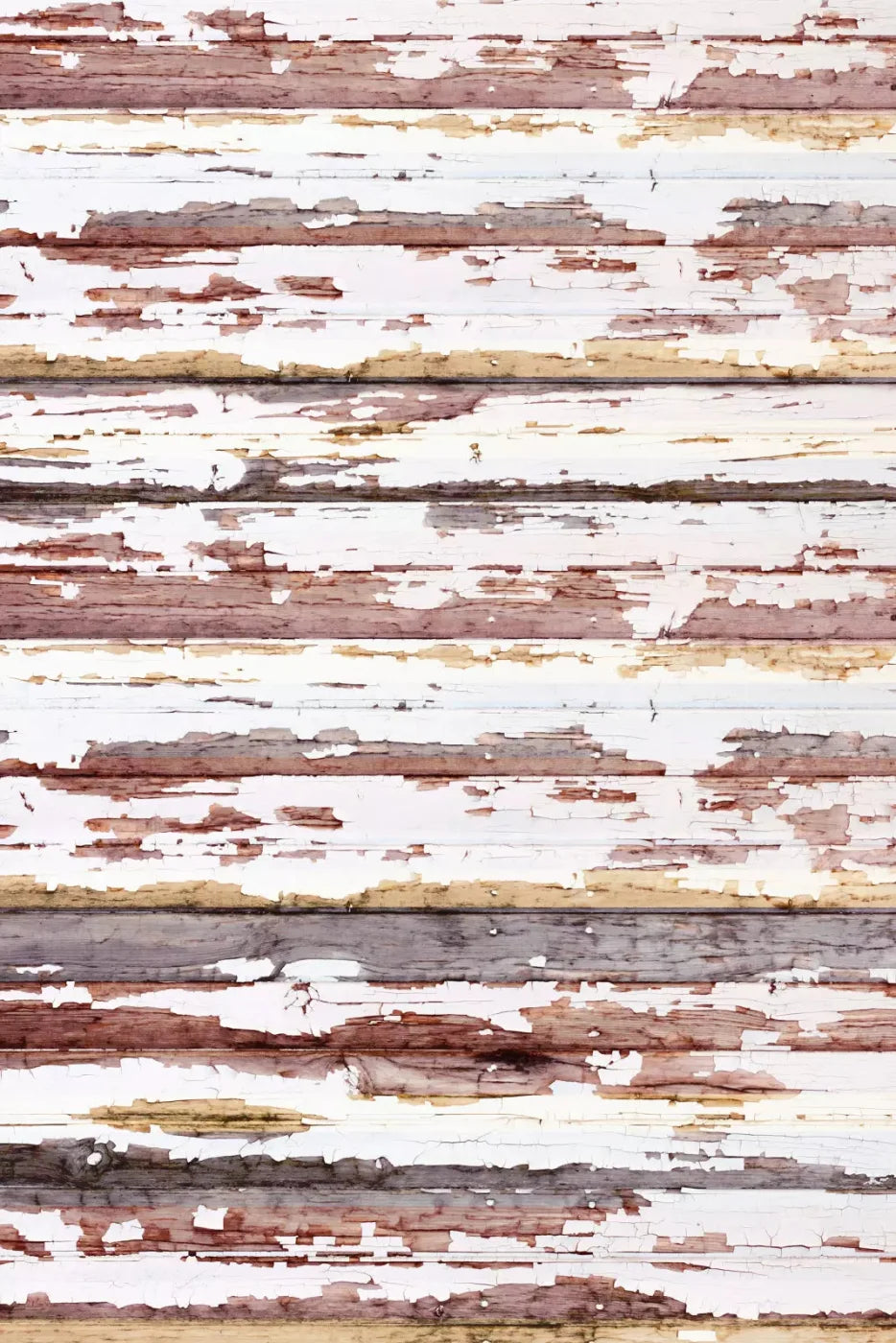 Payden Backdrop