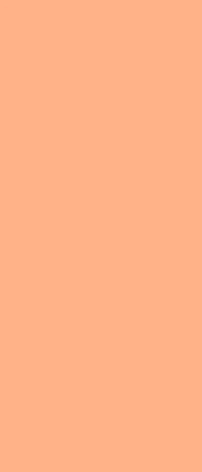 Peaches 5X12 Ultracloth For Westcott X-Drop ( 60 X 144 Inch ) Backdrop