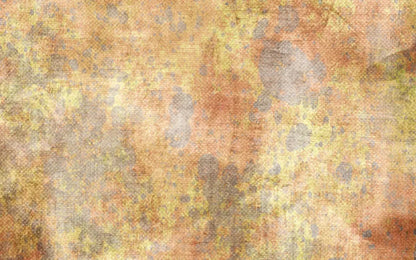 Peaches N Cream 14X9 Ultracloth ( 168 X 108 Inch ) Backdrop