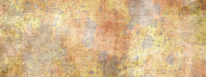 Peaches N Cream 20X8 Ultracloth ( 240 X 96 Inch ) Backdrop