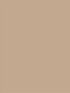 Peanut 5X7 Ultracloth ( 60 X 84 Inch ) Backdrop