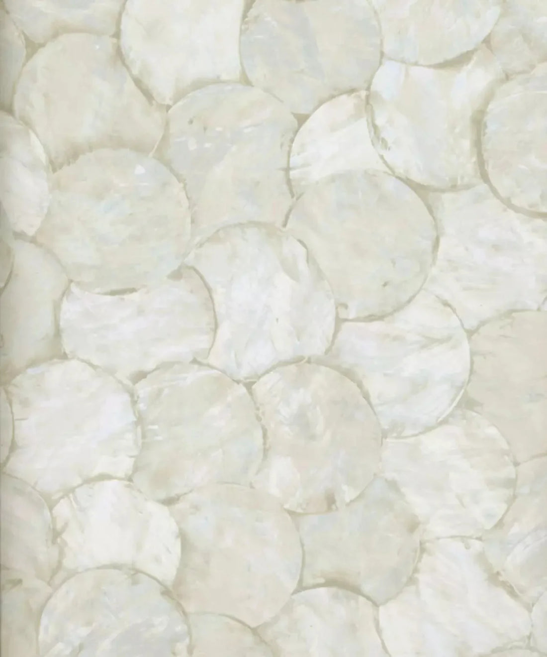 Beige Boudoir Backdrop for Photography