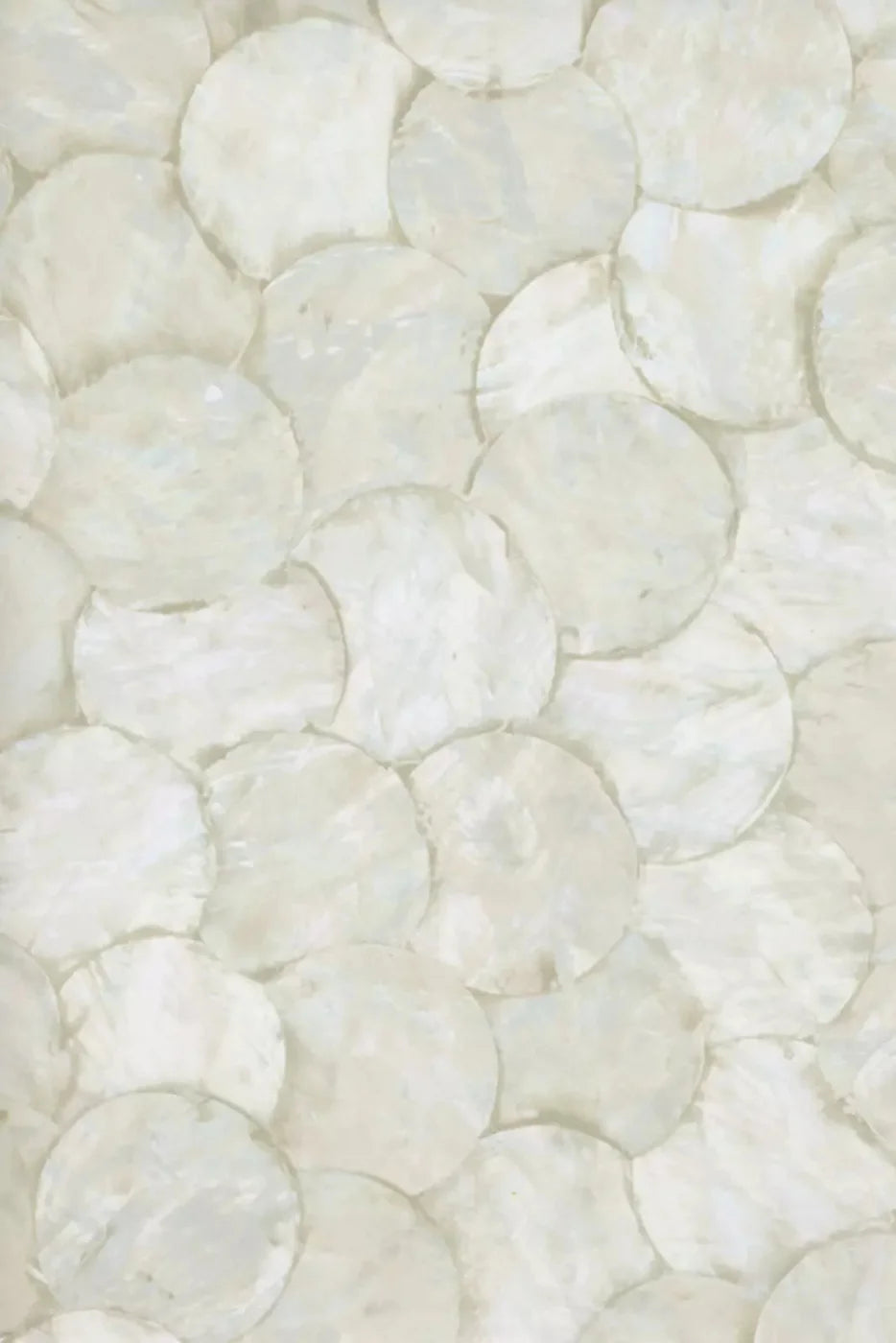 Pearl 5X8 Ultracloth ( 60 X 96 Inch ) Backdrop