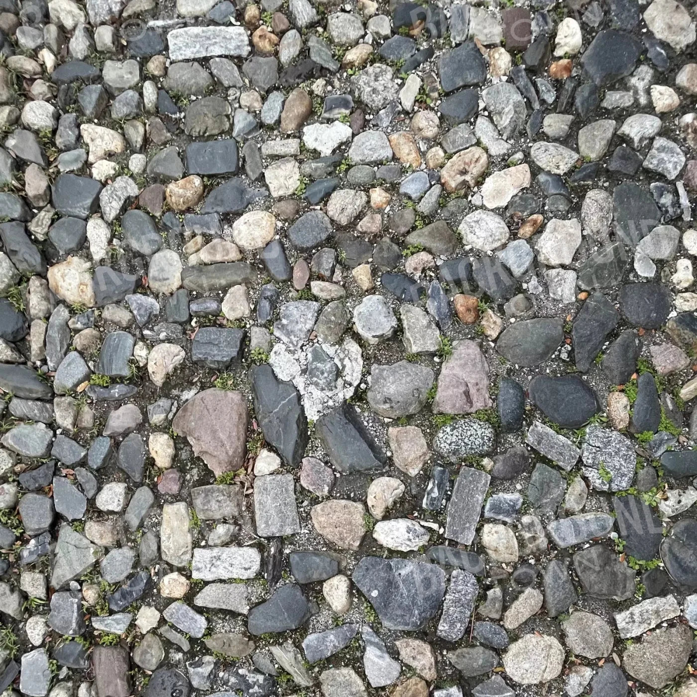 Pebble Path 2 Floor 10X10 Ultracloth ( 120 X Inch ) Backdrop