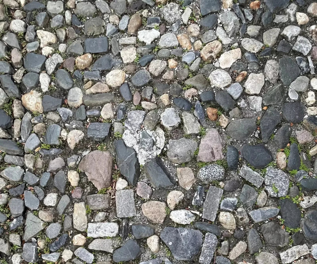 Pebble Path 2 Floor 5X42 Fleece ( 60 X 50 Inch ) Backdrop