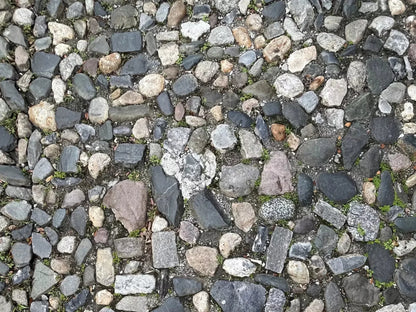Pebble Path 2 Floor 68X5 Fleece ( 80 X 60 Inch ) Backdrop