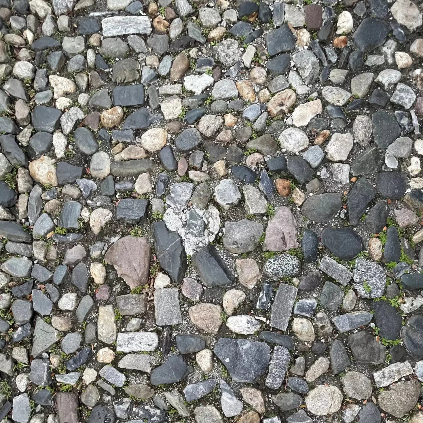 Pebble Path 2 Floor 5X5 Rubbermat ( 60 X Inch ) Backdrop