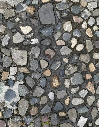 Pebble Path Floor 6X8 Fleece ( 72 X 96 Inch ) Backdrop