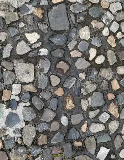 Pebble Path Floor 6X8 Fleece ( 72 X 96 Inch ) Backdrop