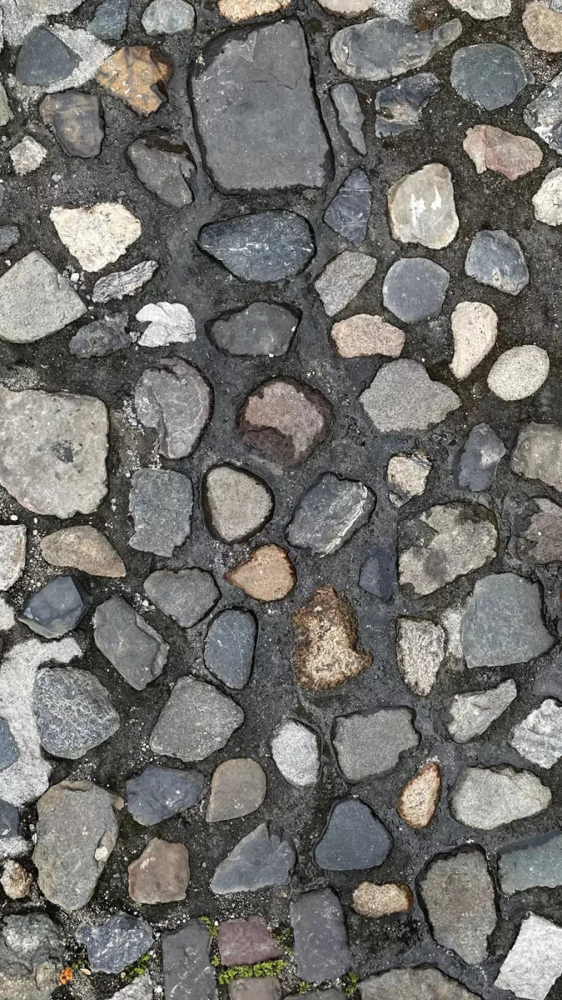 Pebble Path Floor 8X14 Ultracloth For Westcott X-Drop Pro ( 96 X 168 Inch ) Backdrop