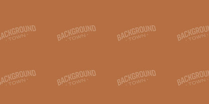 Penny 20X10 Ultracloth ( 240 X 120 Inch ) Backdrop