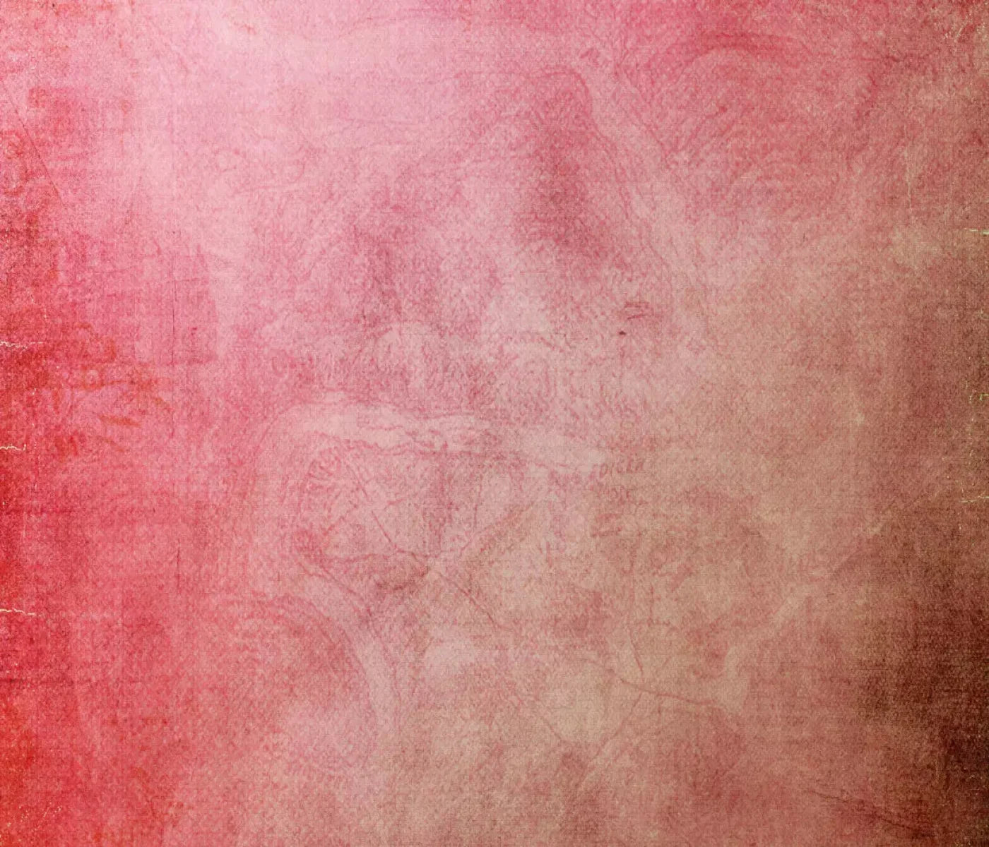 Petal 12X10 Ultracloth ( 144 X 120 Inch ) Backdrop