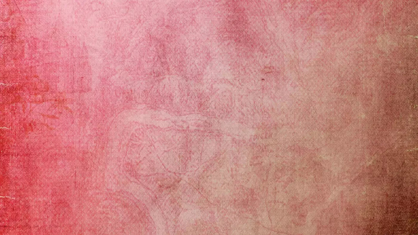 Petal 14X8 Ultracloth ( 168 X 96 Inch ) Backdrop