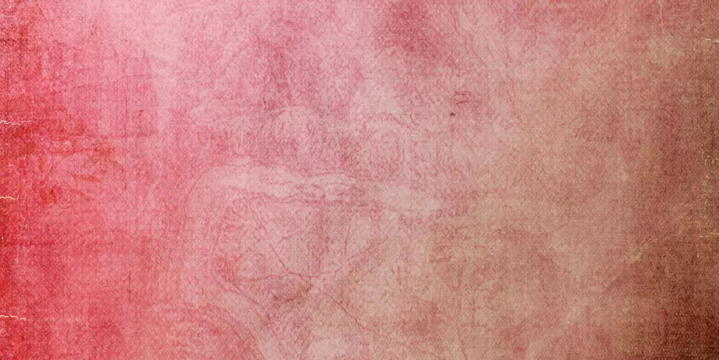 Petal 20X10 Ultracloth ( 240 X 120 Inch ) Backdrop
