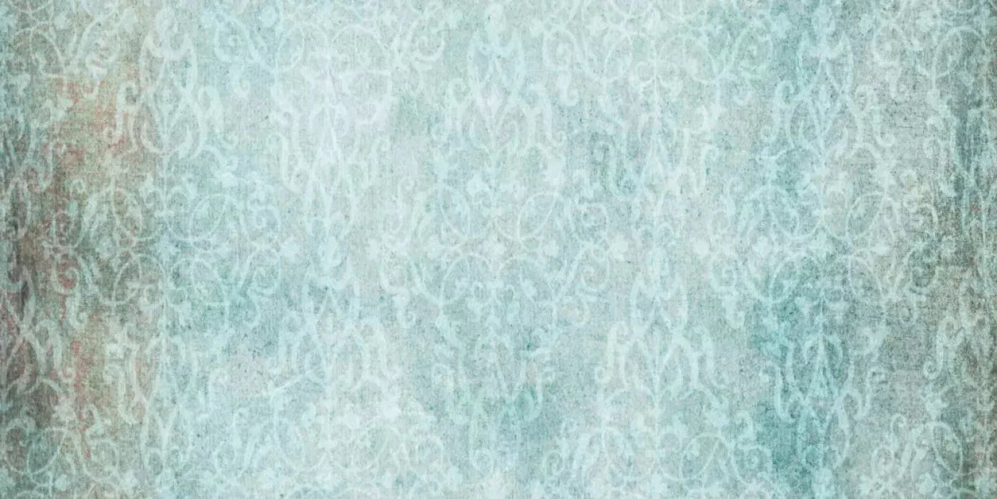 Petite 20X10 Ultracloth ( 240 X 120 Inch ) Backdrop