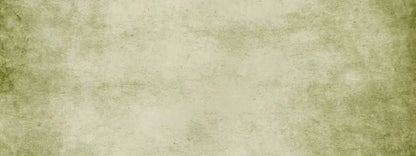 Pine 20X8 Ultracloth ( 240 X 96 Inch ) Backdrop