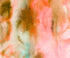 Beige Painted Backdrop for Photography