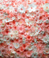 Pink White  Backdrop for Photography