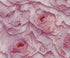 Pink Floral Backdrop for Photography