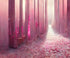 pink forest Backdrop for Photography