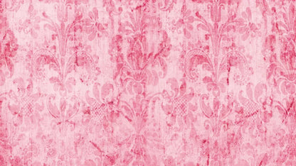 Pink Nancy 14X8 Ultracloth ( 168 X 96 Inch ) Backdrop
