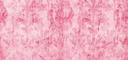 Pink Nancy 16X8 Ultracloth ( 192 X 96 Inch ) Backdrop