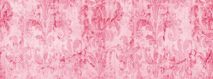 Pink Nancy 20X8 Ultracloth ( 240 X 96 Inch ) Backdrop