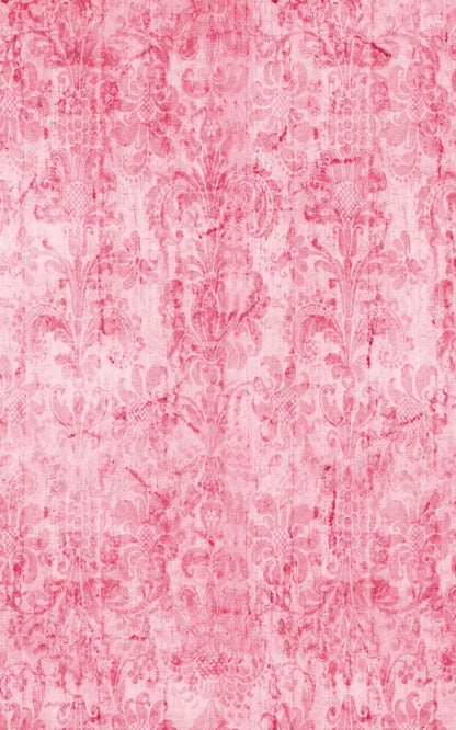 Pink Nancy 9X14 Ultracloth ( 108 X 168 Inch ) Backdrop