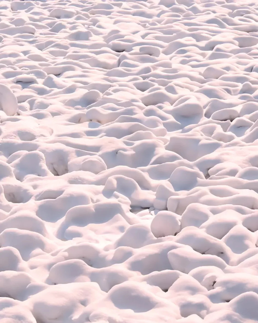 White and Pink Snow Backdrop for Photography