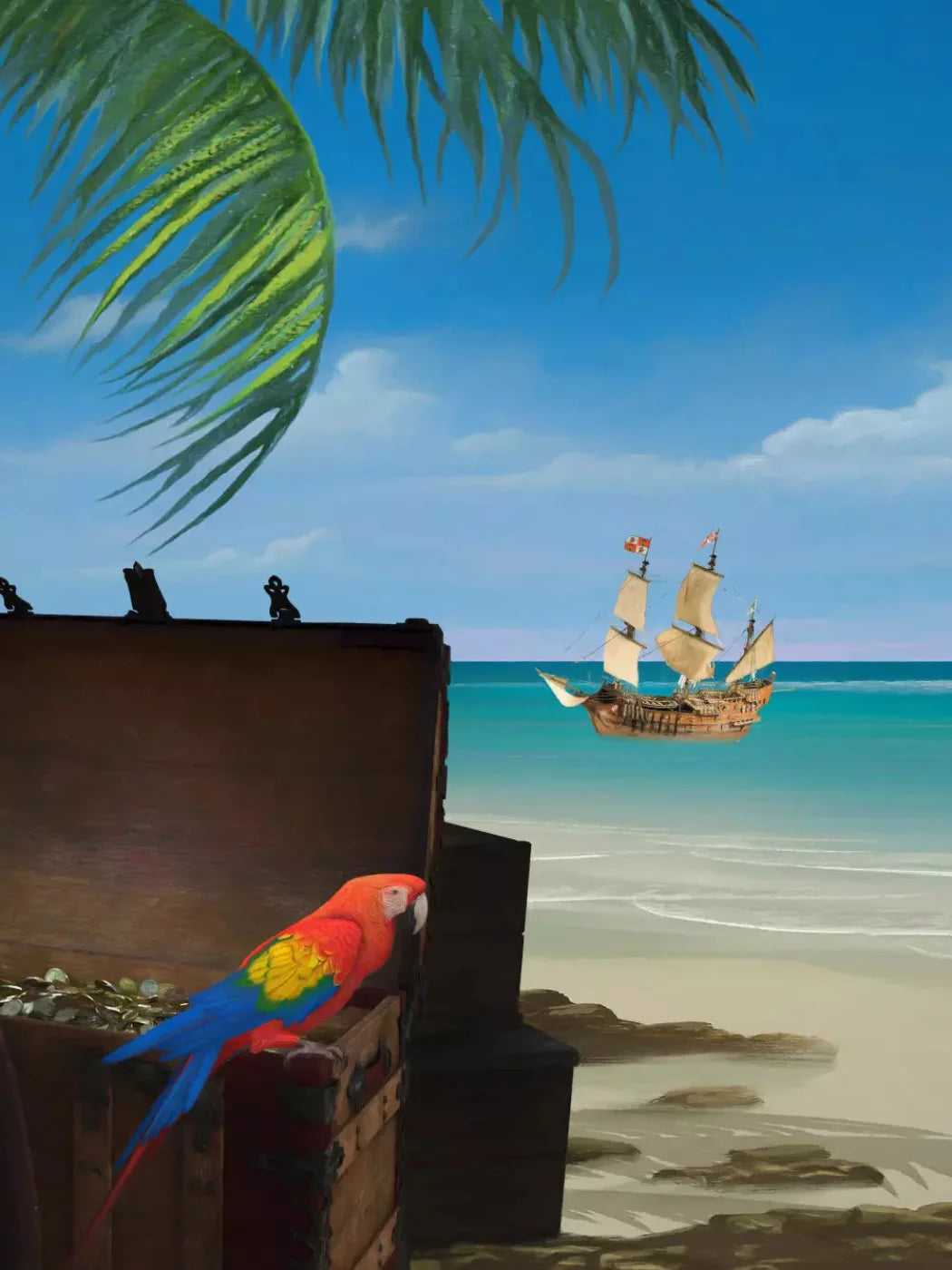 Pirates Life 8X10 Fleece ( 96 X 120 Inch ) Backdrop