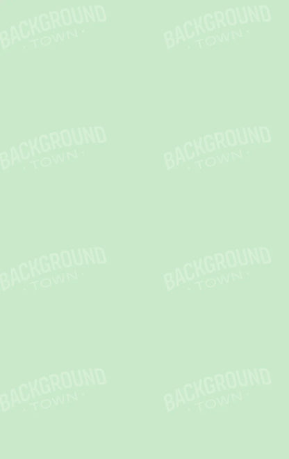 Pistachio 10X16 Ultracloth ( 120 X 192 Inch ) Backdrop