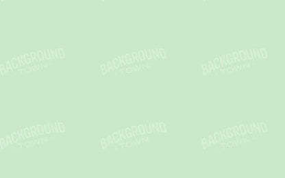 Pistachio 14X9 Ultracloth ( 168 X 108 Inch ) Backdrop