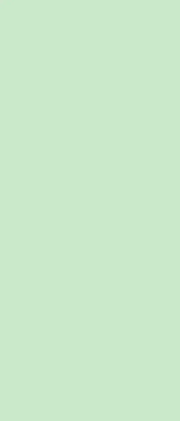 Pistachio 5X12 Ultracloth For Westcott X-Drop ( 60 X 144 Inch ) Backdrop